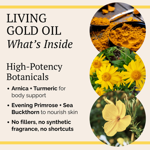 Promotional graphic for a gold oil botanical blend, featuring text on a cream background with three circular photos of yellow flowers and golden powder. The text reads 'LIVING GOLD OIL What's Inside' and lists botanical ingredients including Arnica, Turmeric, Evening Primrose, and Sea Buckthorn.
