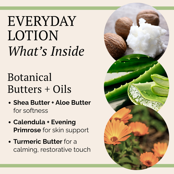 Promotional graphic for a lotion product with text reading 'EVERYDAY LOTION What's Inside' and bullet points about botanical butters and oils, alongside circular photos of shea butter, aloe vera, and orange flowers.