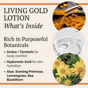 Promotional graphic for Living Gold Lotion detailing its ingredients. The left side features a beige background with black text outlining key benefits: 'Rich in Purposeful Botanicals', 'Arnica + Turmeric for body comfort', 'Hyaluronic Acid for skin hydration', and 'Aloe.