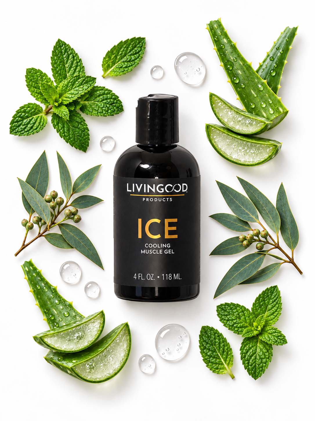 Ice bottle with aloe leaves, eucalyptus and peppermint